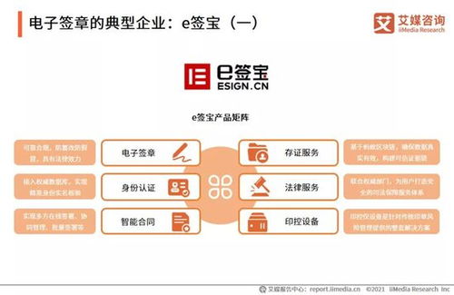 2021年中國企業(yè)數(shù)字化發(fā)展研究報告 網(wǎng)絡(luò)技術(shù)服務(wù)的前景與挑戰(zhàn)